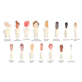LA'FIOR White Pearl 15 Pcs Professional Brush Set with Bag - LF-001