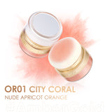 Instant Retouch Setting Powder & Blusher